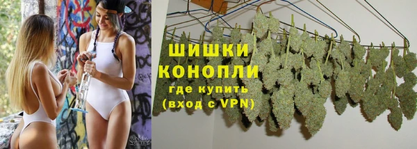 mdpv Богородицк