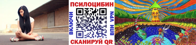 Галлюциногенные грибы Psilocybe  Ужур 